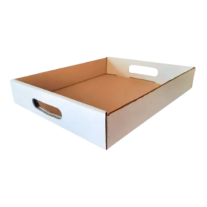 caja bandeja 2