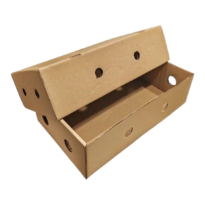 caja_verduras_1-removebg-preview
