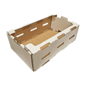 caja_verduras_2-removebg-preview