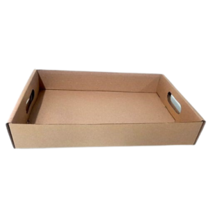 cajas bandeja 1
